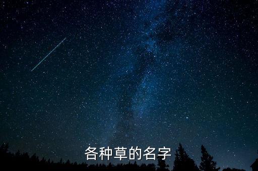 各种草的名字