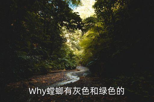 螳螂有几种颜色，Why螳螂有灰色和绿色的