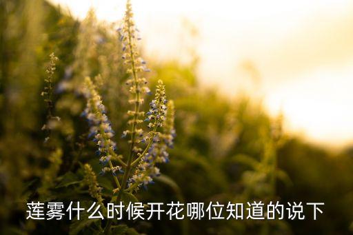 莲雾什么时候开花，莲雾什么时候开花