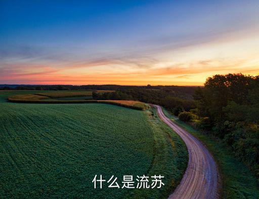 什么是流苏