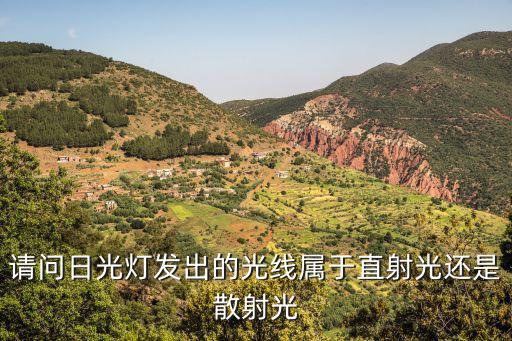 散射光是什么意思，养植物什么是散射光