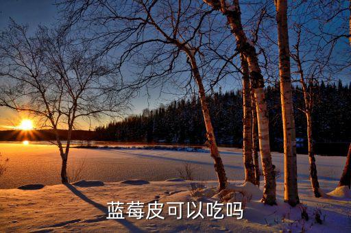 蓝莓皮可以吃吗，蓝莓可以吃皮吗
