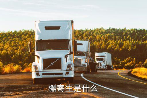 寄生植物，槲寄生是什么
