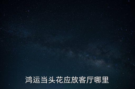 鸿运当头花应放客厅哪里