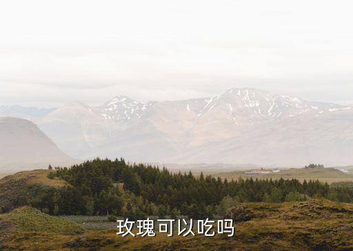 玫瑰花能吃吗，玫瑰花可以吃吗