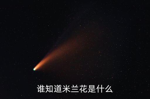 米兰花，米兰花是什么