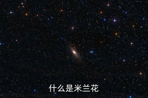 什么是米兰花