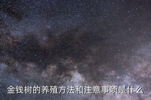 金钱树，如何养金钱树