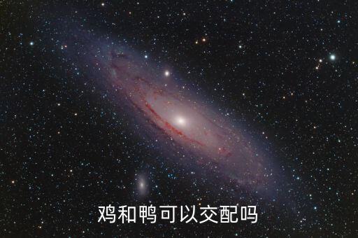 鸡和鸭可以交配吗