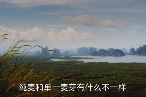 纯麦和单一麦芽有什么不一样