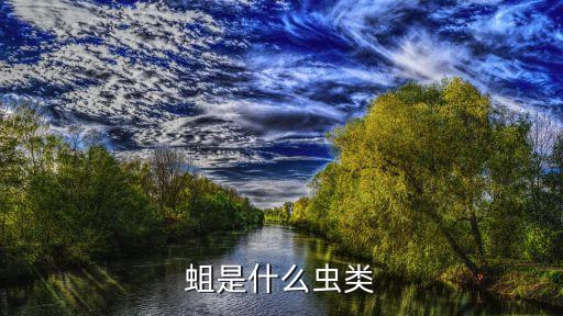 蛆，蛆是啥东西