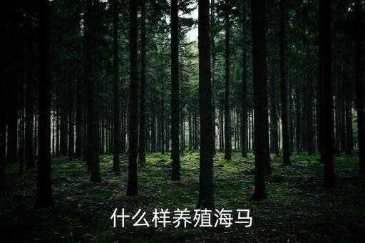 什么样养殖海马