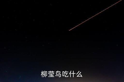 柳莺鸟，柳莹鸟吃什么