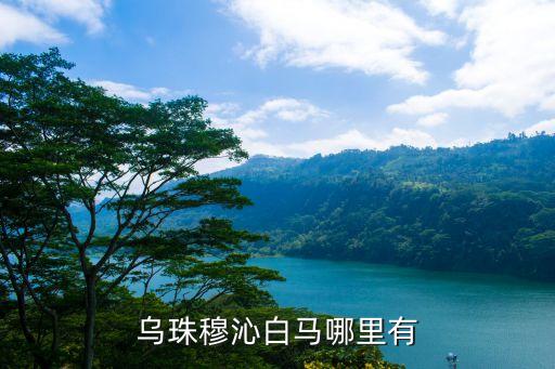 乌珠穆沁白马哪里有