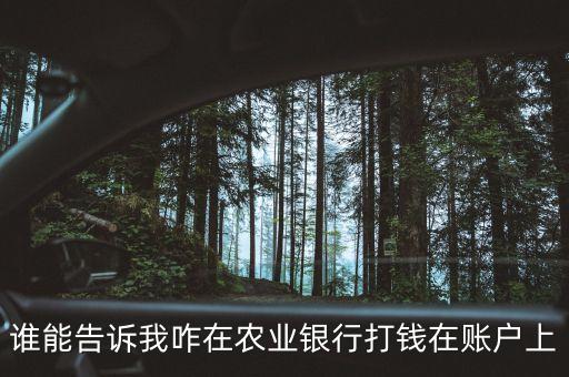 农业帐户 10怎么打，怎么打钱到农业银行帐号上是不是要先叫号呀才去柜台呀