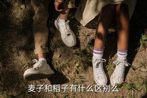 麦子和稻子有什么区别么