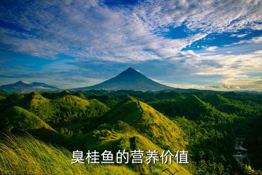臭桂鱼，臭桂鱼怎么做