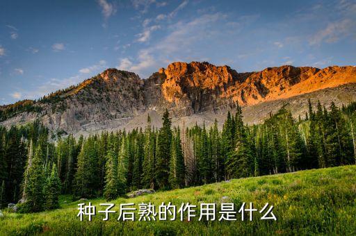 种子成熟，影响种子成熟的因素有哪些