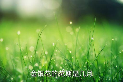 金银花的花期是几月