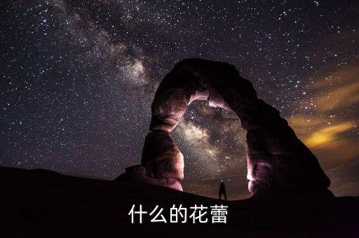 什么花蕾，仙人掌的花蕊是什么