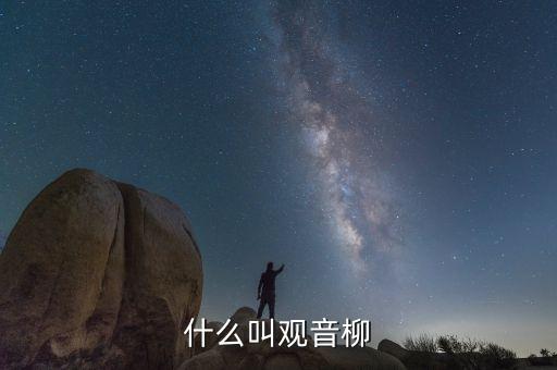 什么叫观音柳