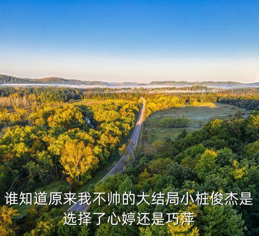 谁知道原来我不帅的大结局小桩俊杰是选择了心婷还是巧萍