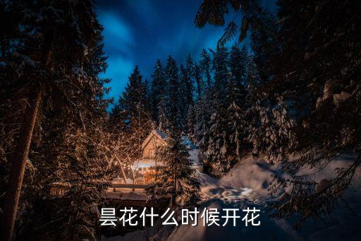 昙花什么时候开花