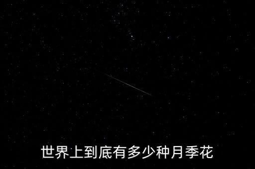 古老月季，有哪些古老月季