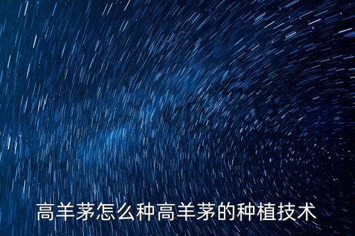 高羊茅，高羊茅草坪与马尼拉草坪的优缺点有哪些