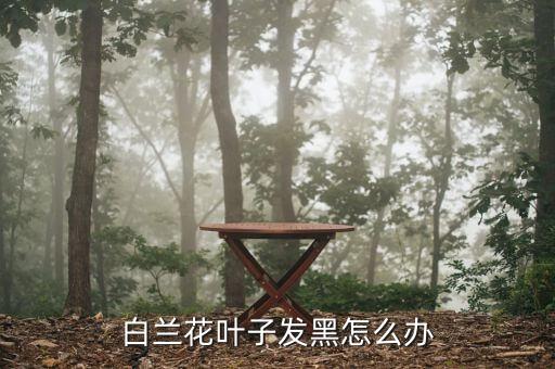 兰花黑斑病，兰草叶子长黑斑怎么办