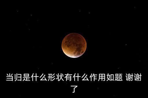 中药当归图片，中药里的小归是什么它的功效是