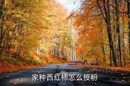 家种西红柿怎么授粉
