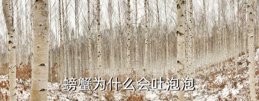 螃蟹为什么会吐泡泡