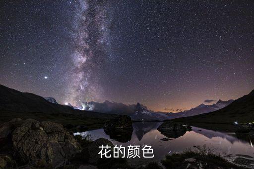 花的颜色