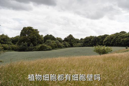 植物细胞都有细胞壁吗