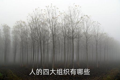 四大组织，人体和动物体有四大组织它们是什么
