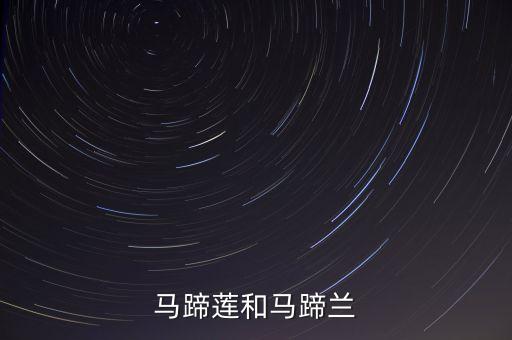 马蹄兰花，马蹄子水浇兰花行吗