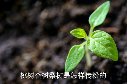 果树授粉，苹果怎样授粉