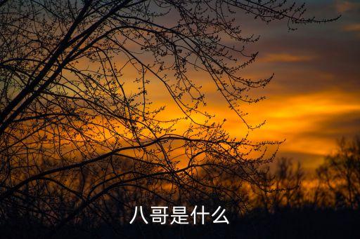 八哥是什么