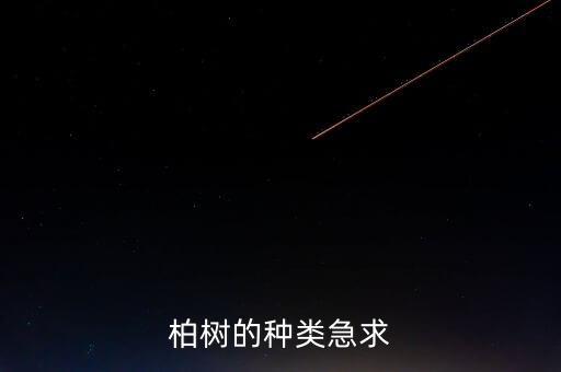 柏树的种类急求