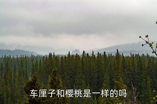 车厘子和樱桃是一样的吗