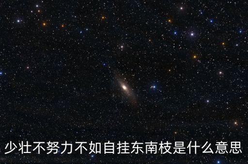 东南枝，自挂东南枝是什么意思详细点