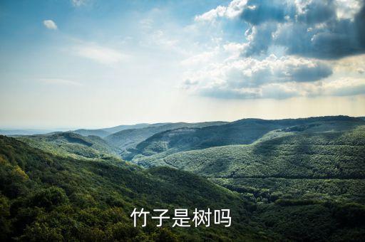 竹子是树吗