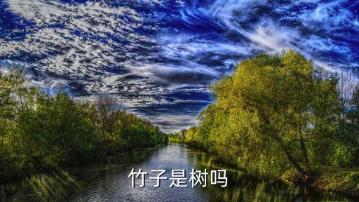 竹子是树吗