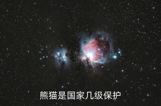 熊猫是国家几级保护