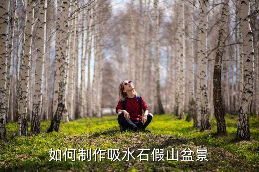 如何制作吸水石假山盆景