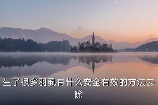 生了很多羽虱有什么安全有效的方法去除