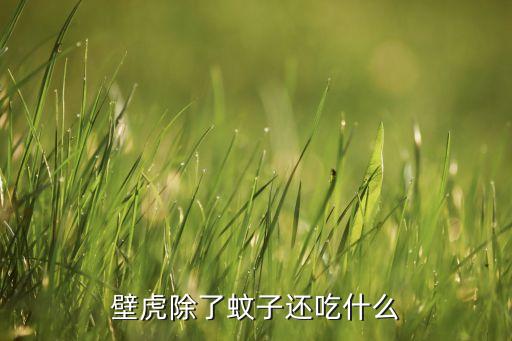 壁虎除了蚊子还吃什么