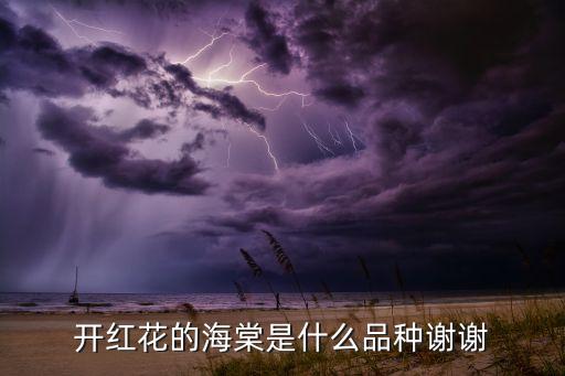 红海棠，红海棠树果能不能吃