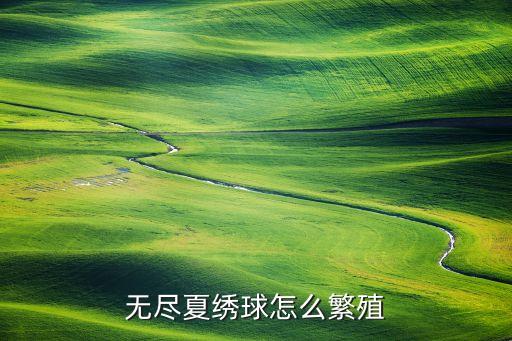 无尽夏绣球怎么繁殖